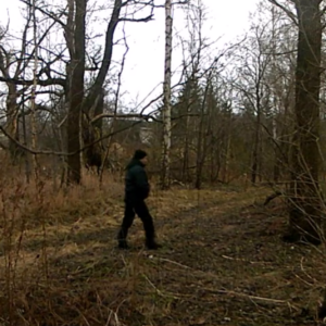 A man deep down the pee trail