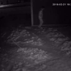 Time to let the dog out