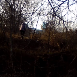 The birdhouse trail is back!