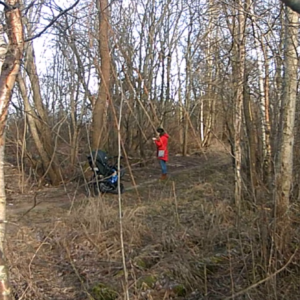 Stroll past our cameras on a sunny day