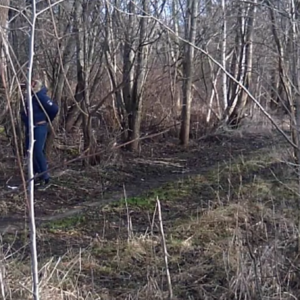 Quite a grab bag on the pee trail