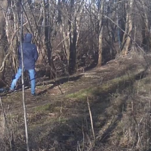 Pissin’ in the wind