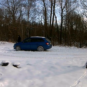 Lots of tracks in the snow