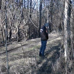 A busy day on the pee trail