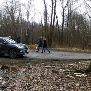 Visitors to the parking lot