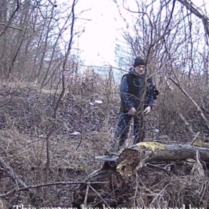 Grab bag of activity from the cameras