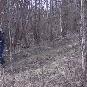 Just a quick trip down the pee trail