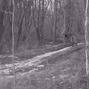 Scoot down the trail for a leak