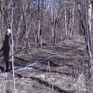 Action on the pee trail
