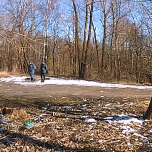 Snow melting away at the lot
