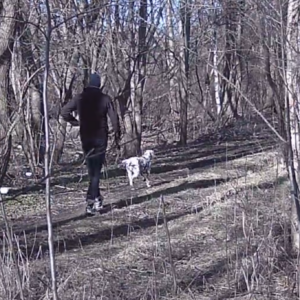 Many visitors to the pee trail