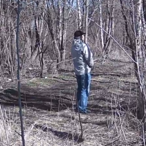 Several visitors passing by our cameras