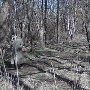 Down the pee trail