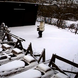 Woman next to the shed in view of the camera