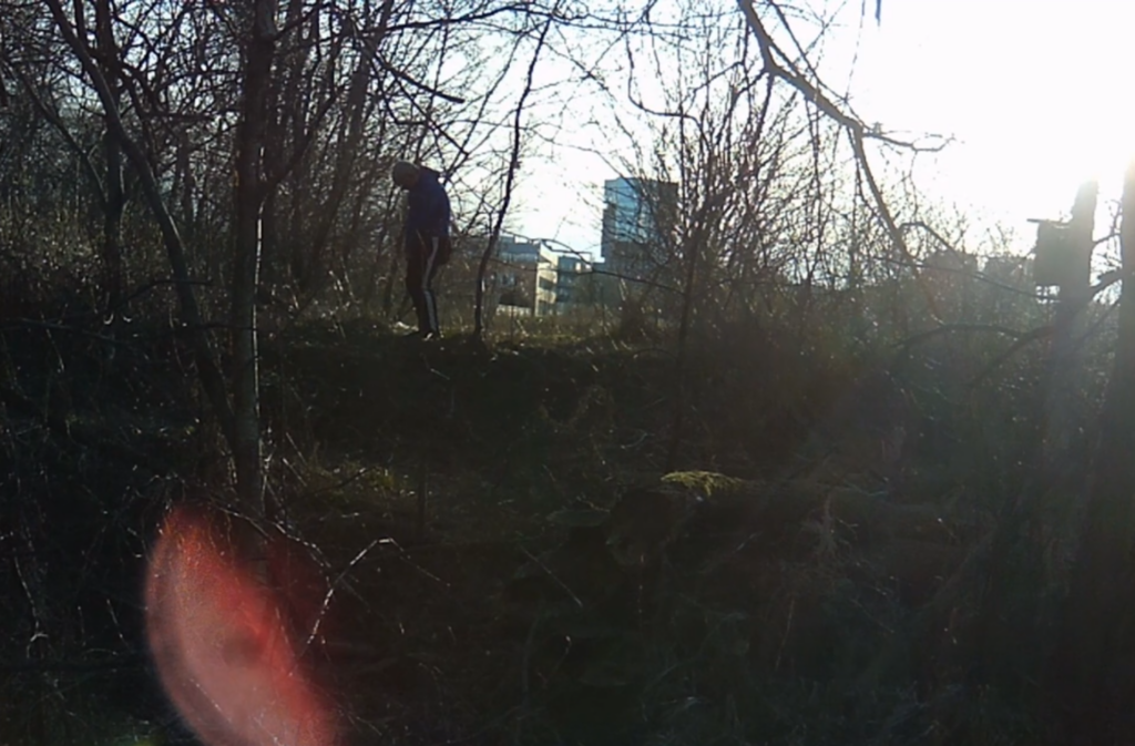 Activity at the birdhouse trail The Tree Spy