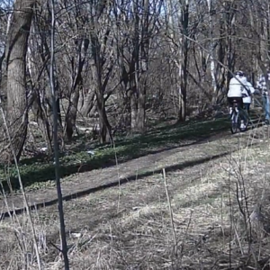 A busy day on the pee trail