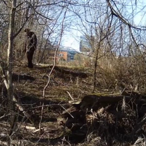Lurking around at the birdhouse