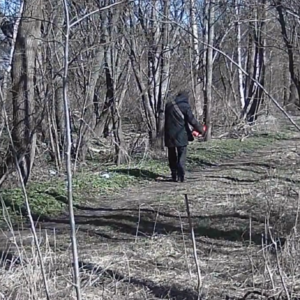 Creeping around the pee trail