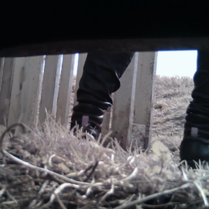 Using a pallet for cover