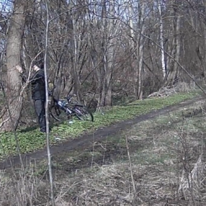 That man really likes this tree