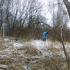 Blue poncho in the snow