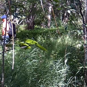 Frequent Trail Visitors