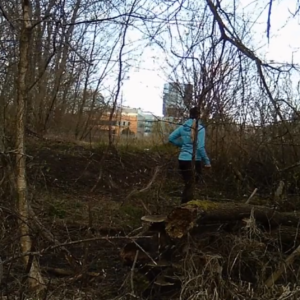 Action at the birdhouse camera