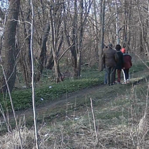 Exploring along the pee trail