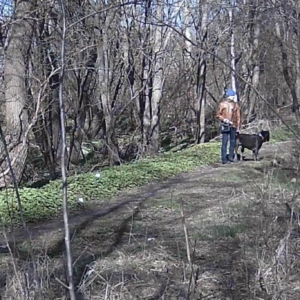 Walking with the big dogs