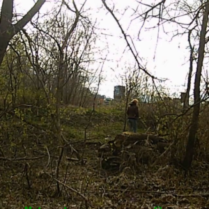 Wider view at the birdhouse