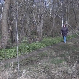 Taking in nature
