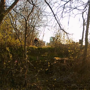 Sunset at the birdhouse