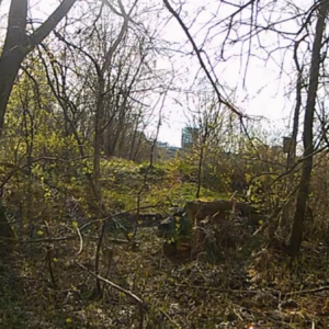 Highlight – Camera Found
