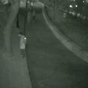 A young man watering the trees