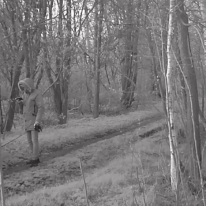Various visitors to the trails
