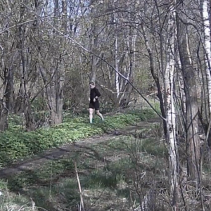 Many men at the pee trail