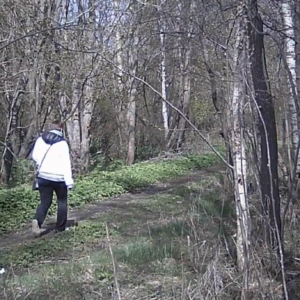 Various visitors along the pee trail