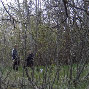 Some cuddle time in the woods
