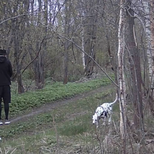 A few ladies and a man with his dog