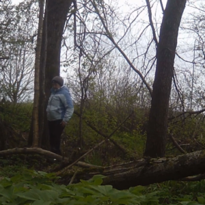 Near misses