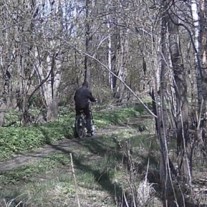 Bikers along the trail