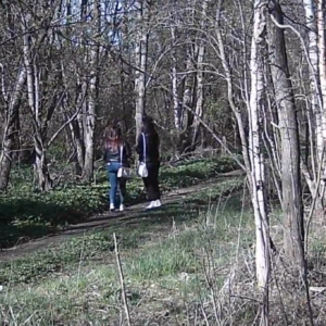 Hikers and even a workout along the pee trail