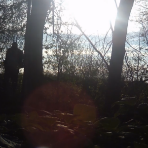 Stopping at the birdhouse as the sun sets
