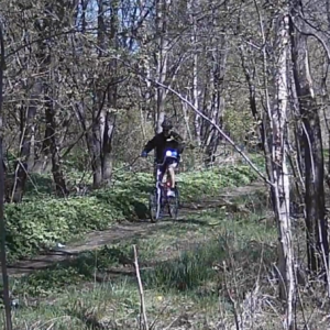 Quick trip down the trail