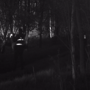 Police are back again