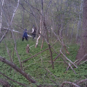 Several visitors on the trail