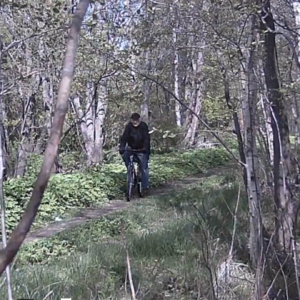 Another round of activity along the pee trail