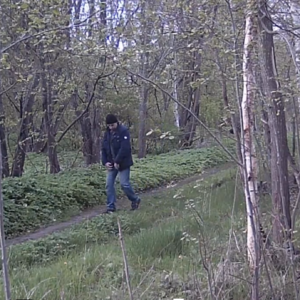 A walk down the pee trail