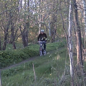 Right in the middle of the trail
