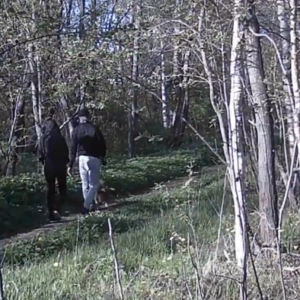 More strolling down the trail